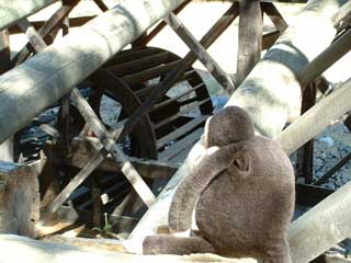 The waterwheel powering Sutter's Sawmill