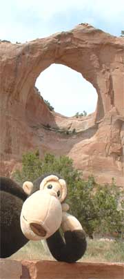 Monkey at Window Rock window