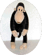small Monkey Suit Movie for SLOW connection