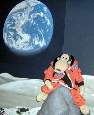 Earth as seen from the lunatic..