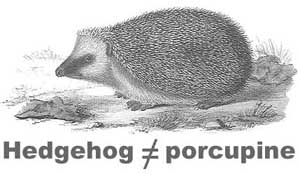 A hedgehog is NOT a porcupine