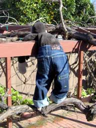 Scaling the Hight