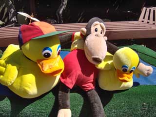 Plush with plush.