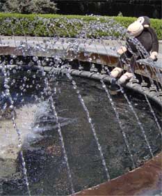 Fountain detail