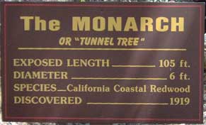 Tunnel Tree sign