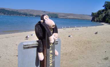 Welcome to Heart's Desire Beach