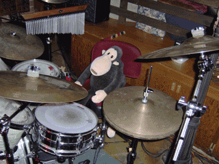 Opice "drummer" Monkey