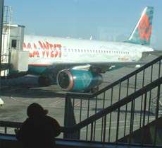 Silhouetted against glass studying plane.