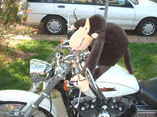 Ride, Monkey, ride!